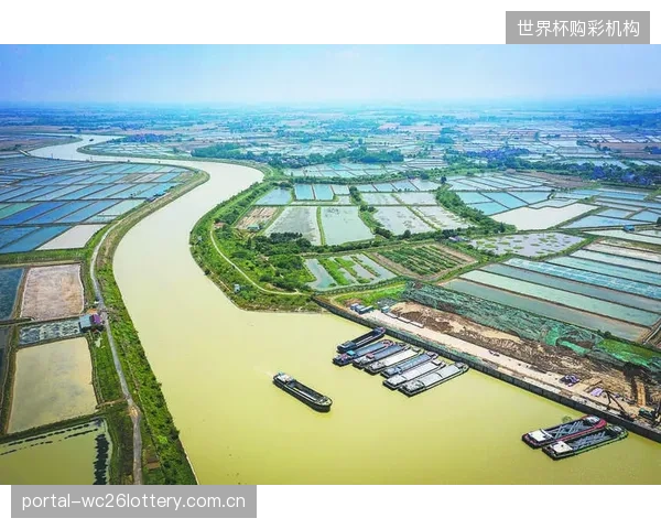 竭泽而渔的短视：部分赛事主办方默许甚至助推二级市场价格飙升，正以牺牲长期球迷忠诚度为代价